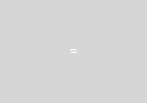 Gebratenes Bio Ei